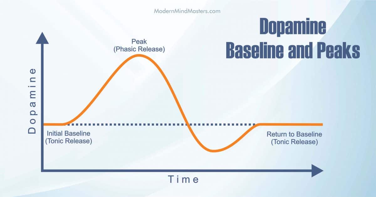 Baseline (tonic) and peak (phasic) dopamine release.