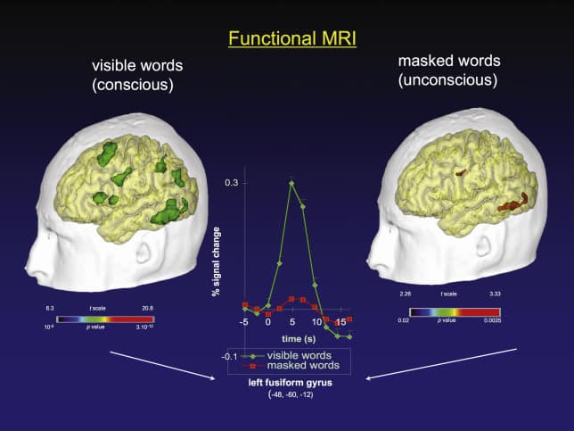 Conscious and Unconscious words trigger different parts of the brain, as measured by fMRI.