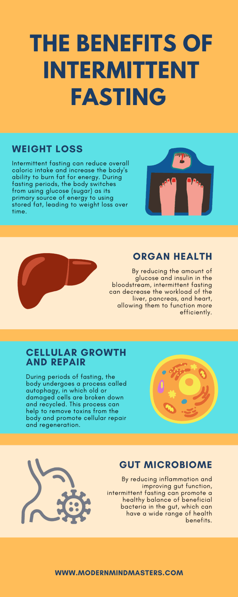 The benefits of intermittent fasting include: weight loss organ health, cell repair, and a healthy gut.