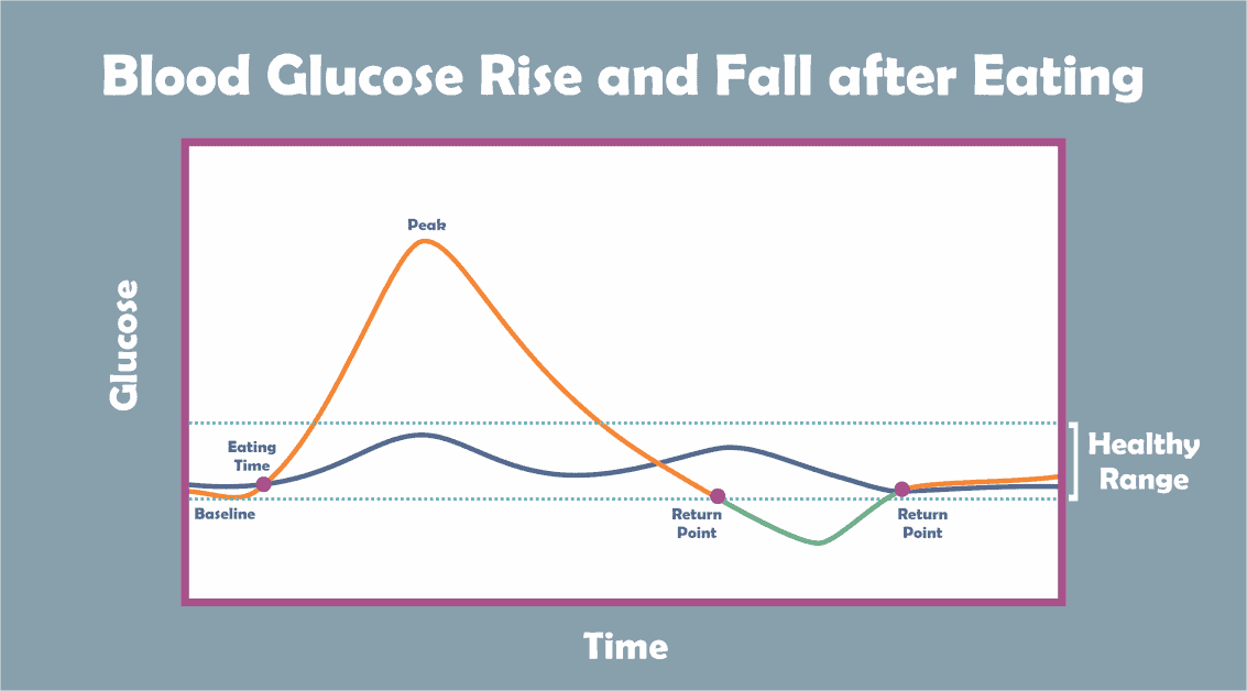 Intermittent fasting - Rise and Fall of blood glucose level after eating and while fasted.