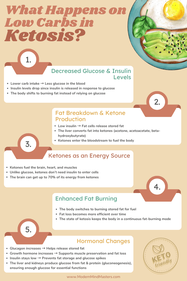What Happens on Low Carbs in Ketosis
