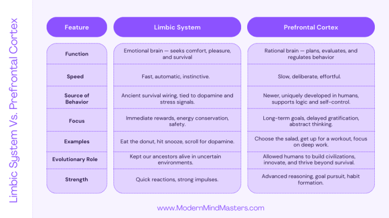Differences between the limbic system and the prefrontal cortex.